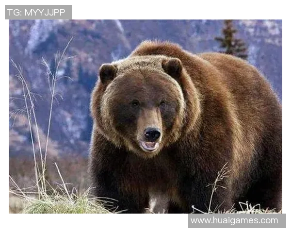 足球四大球星与动物形象对比分析 谁是场上最强猛兽 足球四大球星与动物形象对比分析 谁是场上最强猛兽